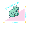 Math teacher mathematician Hippotenuse
