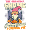 Thanksgiving Funny Gnomes Costume Autumn