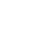 Avion