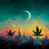 Cannabis dreams