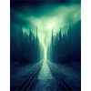 Into the unknown