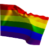 Gay Sexuality Flag Flag