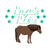 Huzule Reiter Pferd