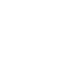 Huzule Witz mit Pferd