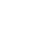 Skull Weathered