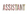 Programmassistent Leopard Print lustiges Geschenk