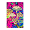 Trippy Mushroom