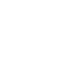 Small gecko on the wall