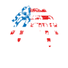 Tarentule Usa Amérique