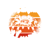 Tarentule Hunter Sun