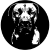 Boerboel