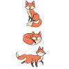 Funny fox