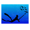 Spearfishing Spearfisher Spearfisherman fishing