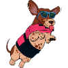 Flying dog in sunglasses