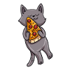 Cat pizza gift idea