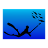 Spearfishing Spearfisher Spearfisherman fishing
