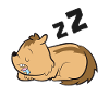 Sleeping Chipmunk Lazy Chipmunk