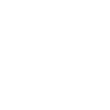 Logo in white