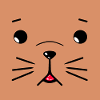 Cute dog