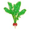 RADISH
