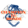 Champion vtt autocollant