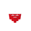 Champion de bière-pong