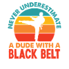 Retro Karate Black Belt Gift