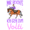 Voltigieren