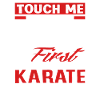 Karate Martial Artist Fighter