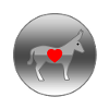 Donkey
