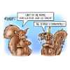 Klimawandel Eichhörnchen