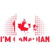 Drapeau canadien Cadeau racines canadiennes