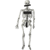 Human Skeleton Naked Censorship Stroke