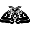 Black moth