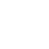 White moth