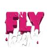 FLY high Gleitschirmfliegen Parapente