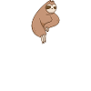 Math Sloth Pi