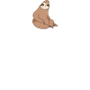 Math Sloth Pi