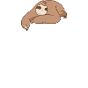 Math Sloth Pi