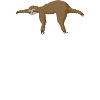 Math Sloth Pi