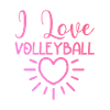 I love volleyball