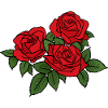 Red Roses