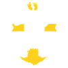 baby on board