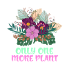Only one plant left