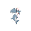 Dolphin Trainer Dolphin Gift