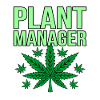 Cannabis