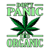 Cannabis