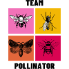 Team Pollinator v2