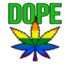 Cannabis