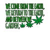 Cannabis